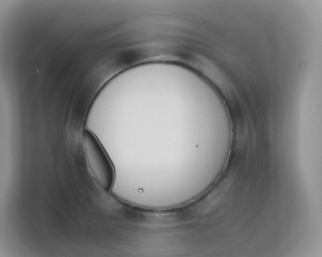 X0000111371281200907311026