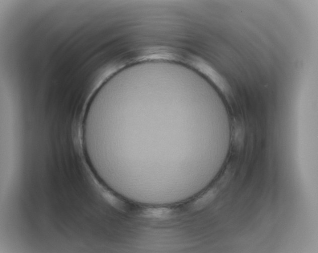 X0000111371282200907311026