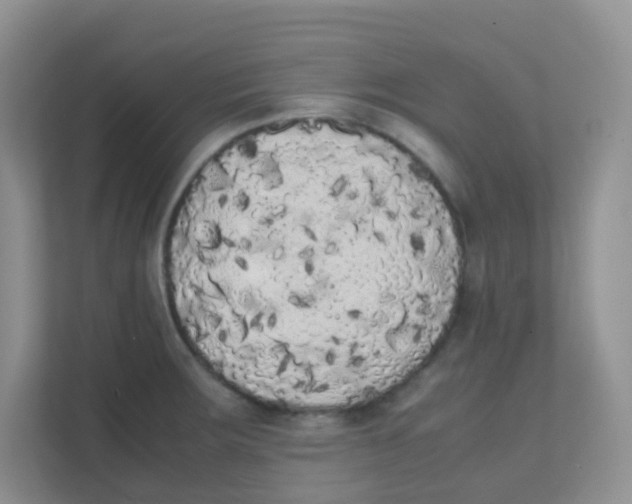 X0000111371283200907311026