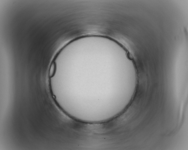 X0000111371285200907311025