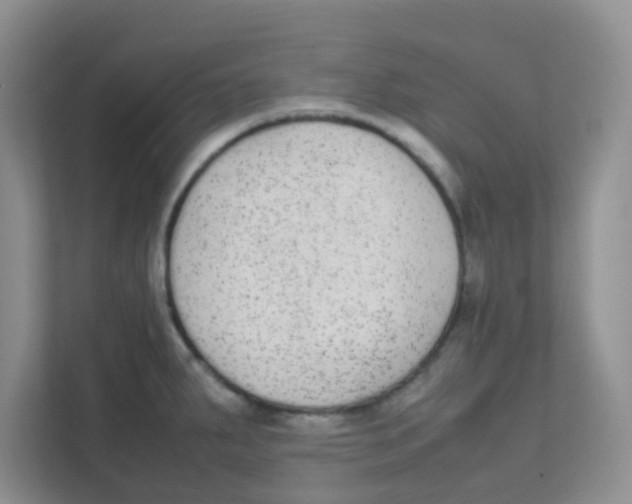 X0000111371287200907311025