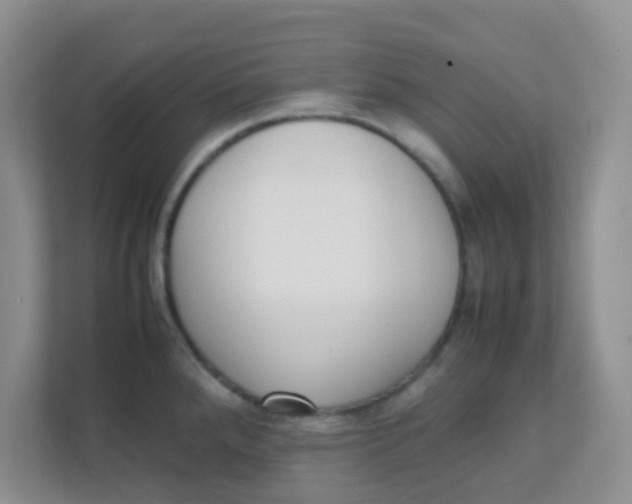 X0000111371288200907311025