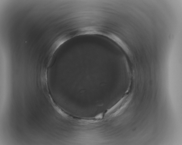 X0000111371289200907311025