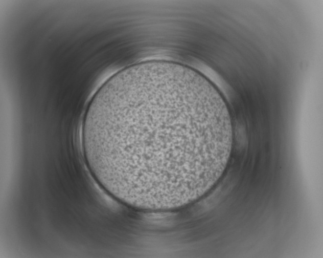 X0000111371290200907311025