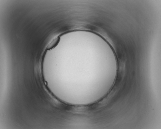 X0000111371293200907311025