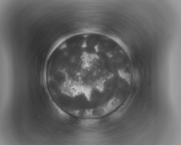 X0000111371294200907311025