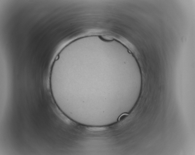 X0000111371296200907311025