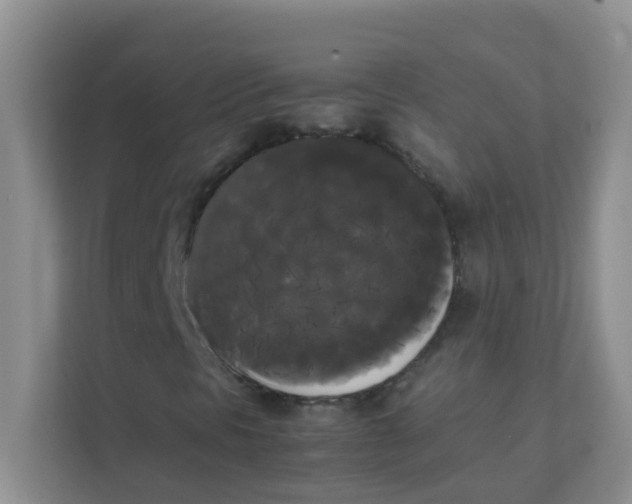 X0000111371297200907311025