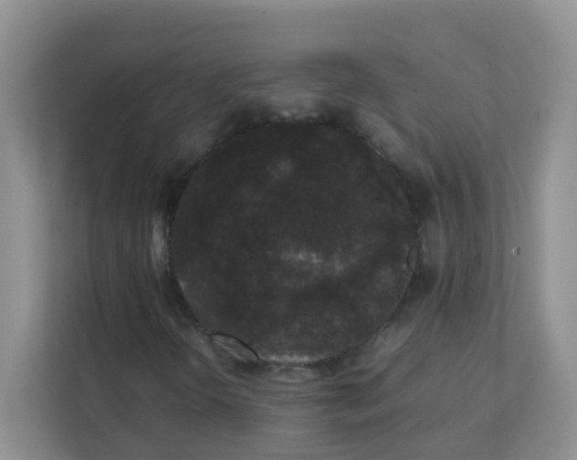 X0000111371298200907311025