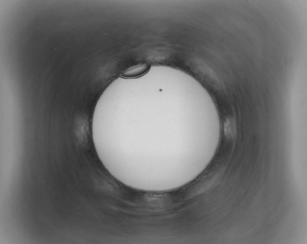 X0000111371299200907311025