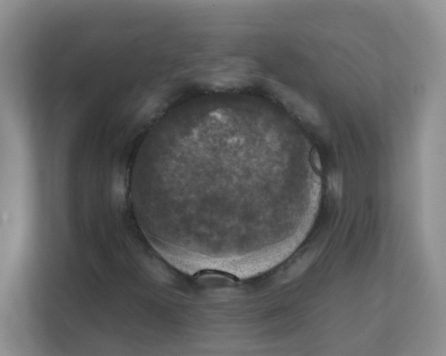 X0000111371300200907311025