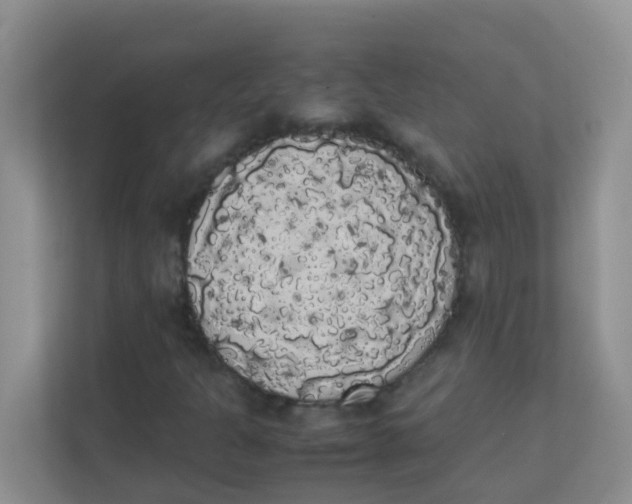 X0000111371301200907311025