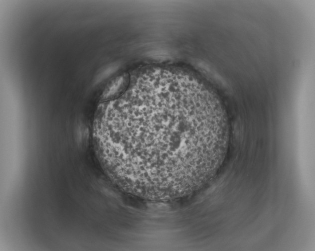 X0000111371302200907311025