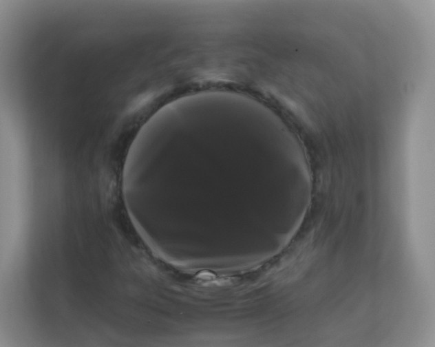 X0000111371303200907311025