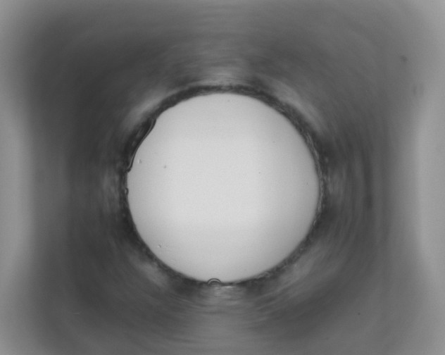 X0000111371304200907311025