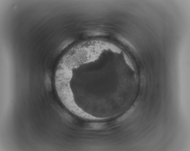 X0000111371305200907311025