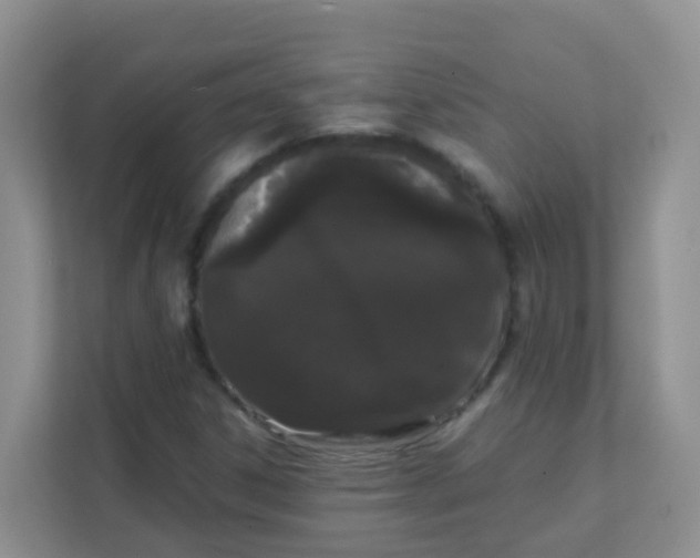 X0000111371306200907311025