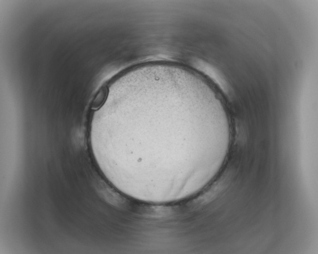 X0000111371308200907311025