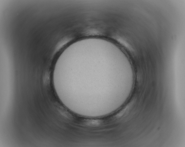 X0000111371309200907311025