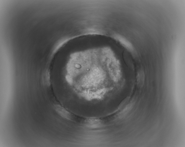 X0000111371310200907311025