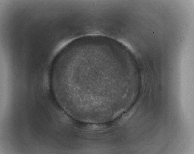 X0000111371311200907311025