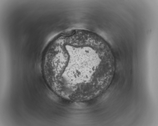 X0000111371312200907311025