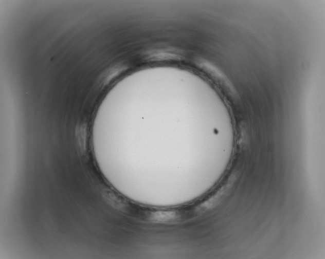 X0000111371313200907311025