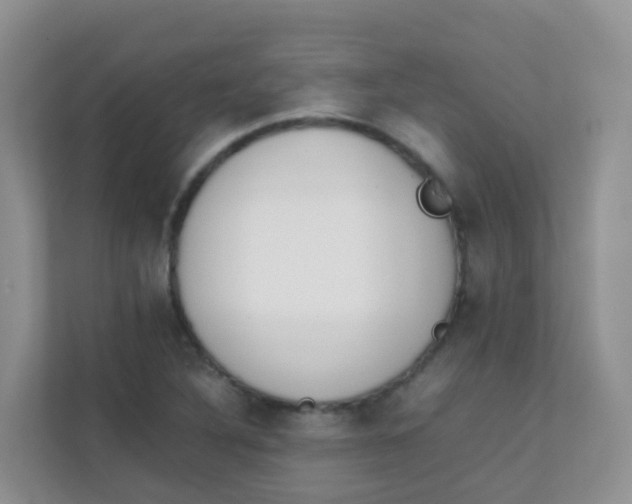 X0000111371316200907311025