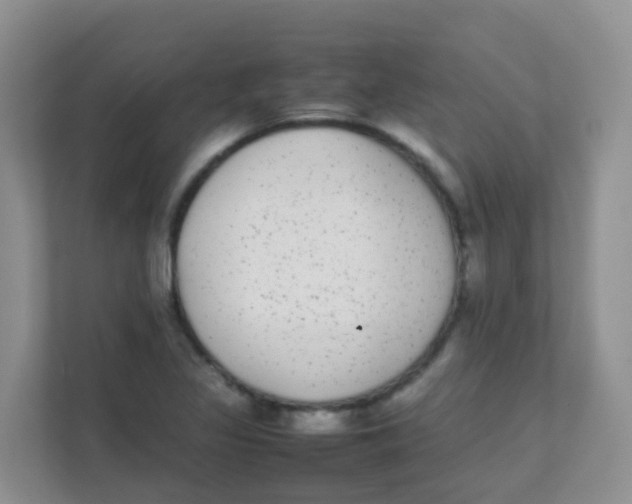 X0000111371317200907311025