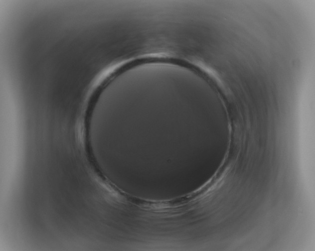 X0000111371319200907311025