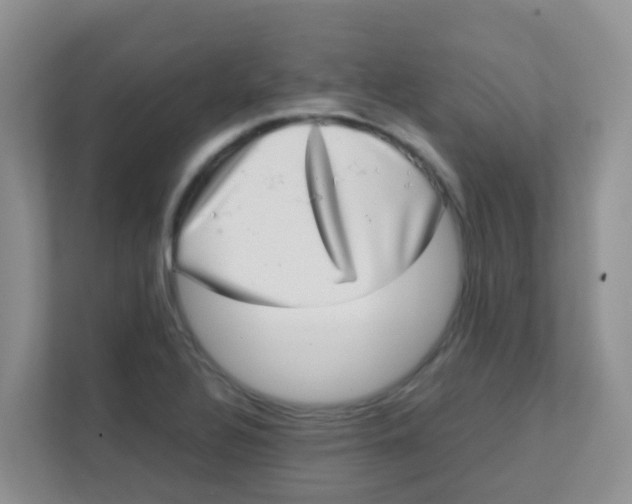 X0000111371320200907311025