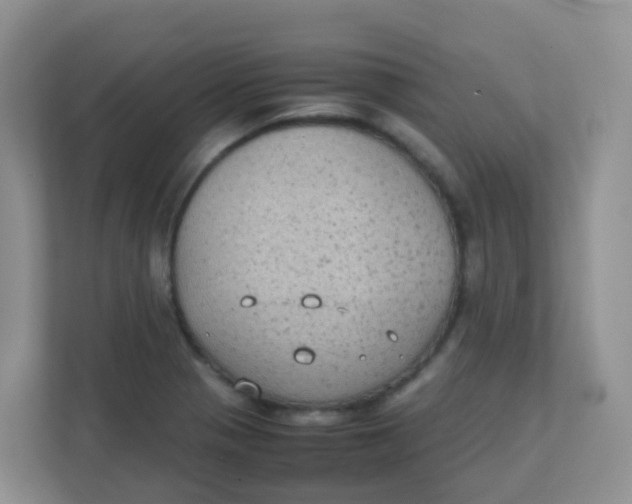 X0000111371321200907311025