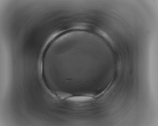 X0000111371323200907311025