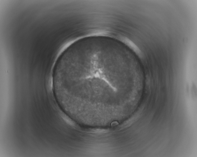 X0000111371324200907311025