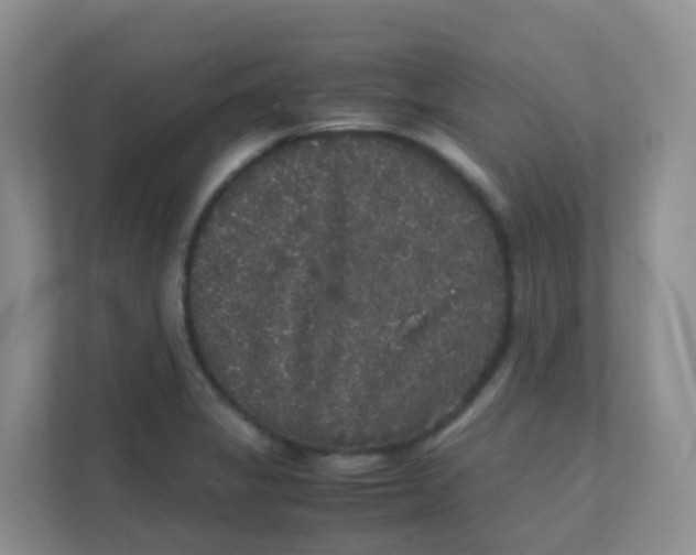 X0000111371325200907311025