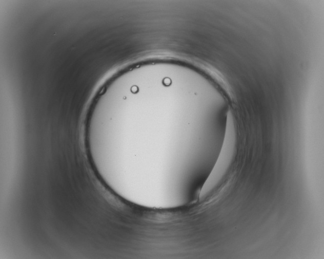 X0000111371326200907311025