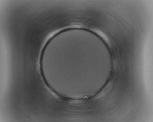 X0000111371327200907311025