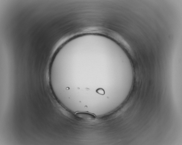 X0000111371328200907311025