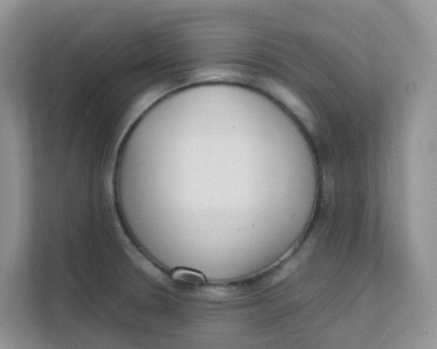 X0000111371330200907311025