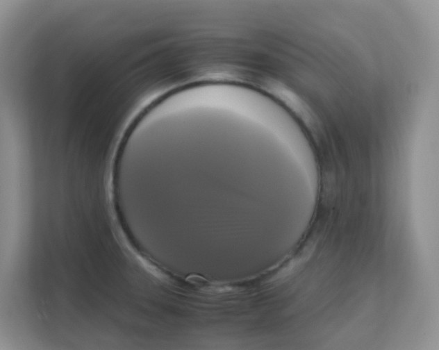 X0000111371331200907311025