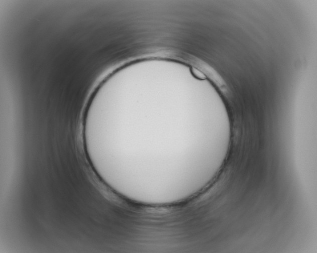 X0000111371332200907311025