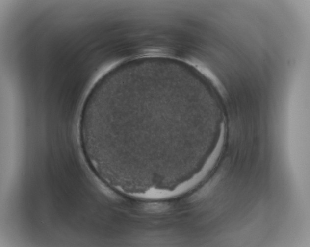 X0000111371333200907311025