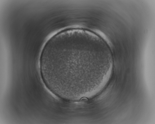 X0000111371335200907311025