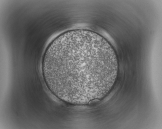 X0000111371336200907311025