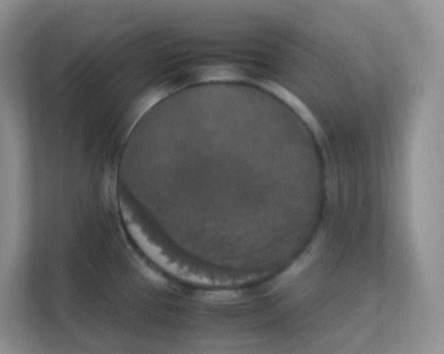 X0000111371337200907311025