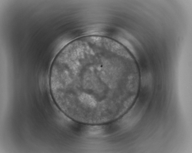 X0000111371338200907311025