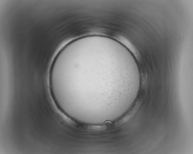 X0000111371339200907311025