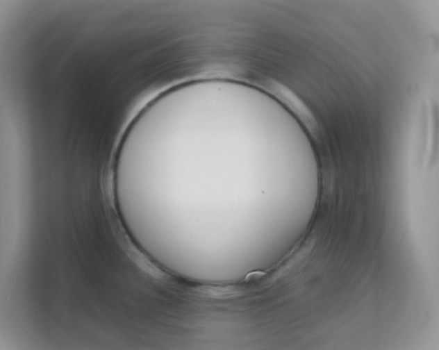 X0000111371340200907311025