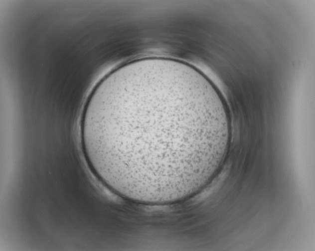 X0000111371341200907311025