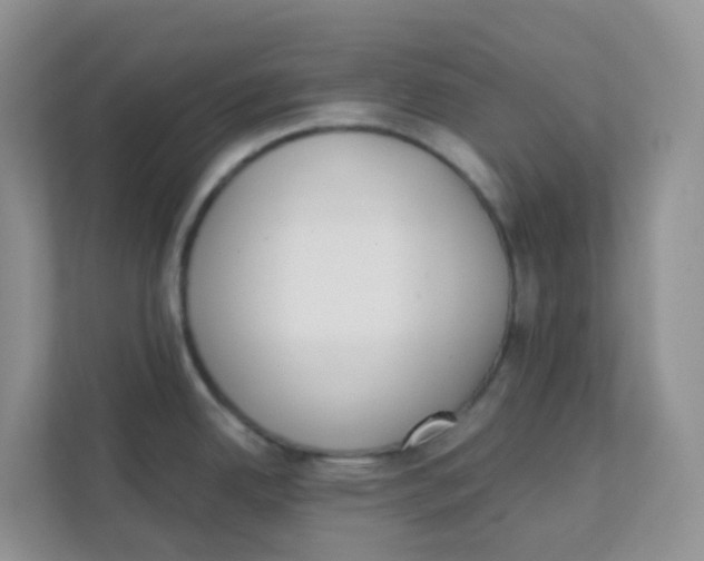 X0000111371342200907311025